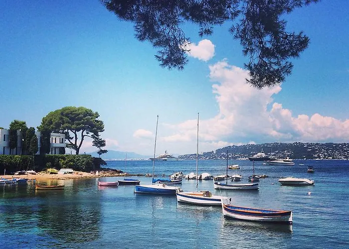 Cap View * أنتيب